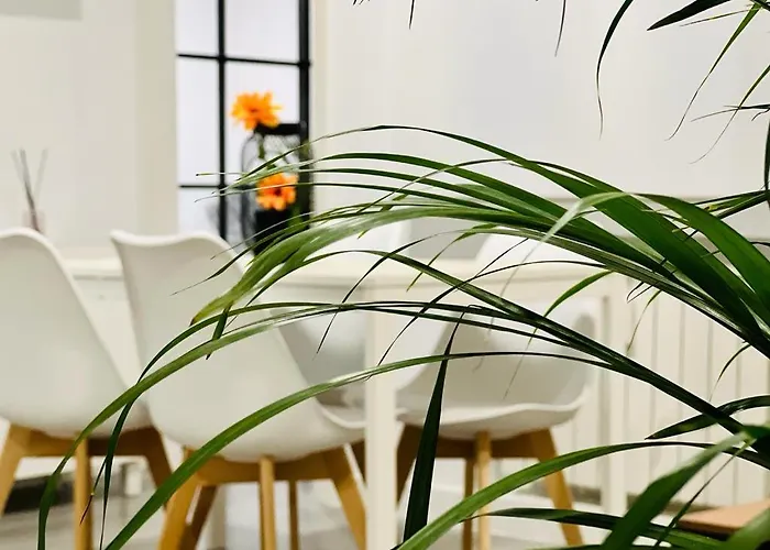 Best Flat Near Real Madrid Stadium